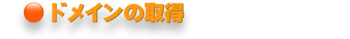 �Ǝ��h���C���̎擾